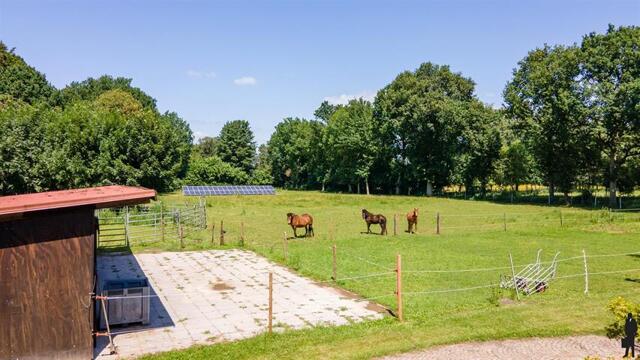 Luxe kangoeroe-villa te Sint-Job met paardenacc. op ca. 1,2 HA! 78