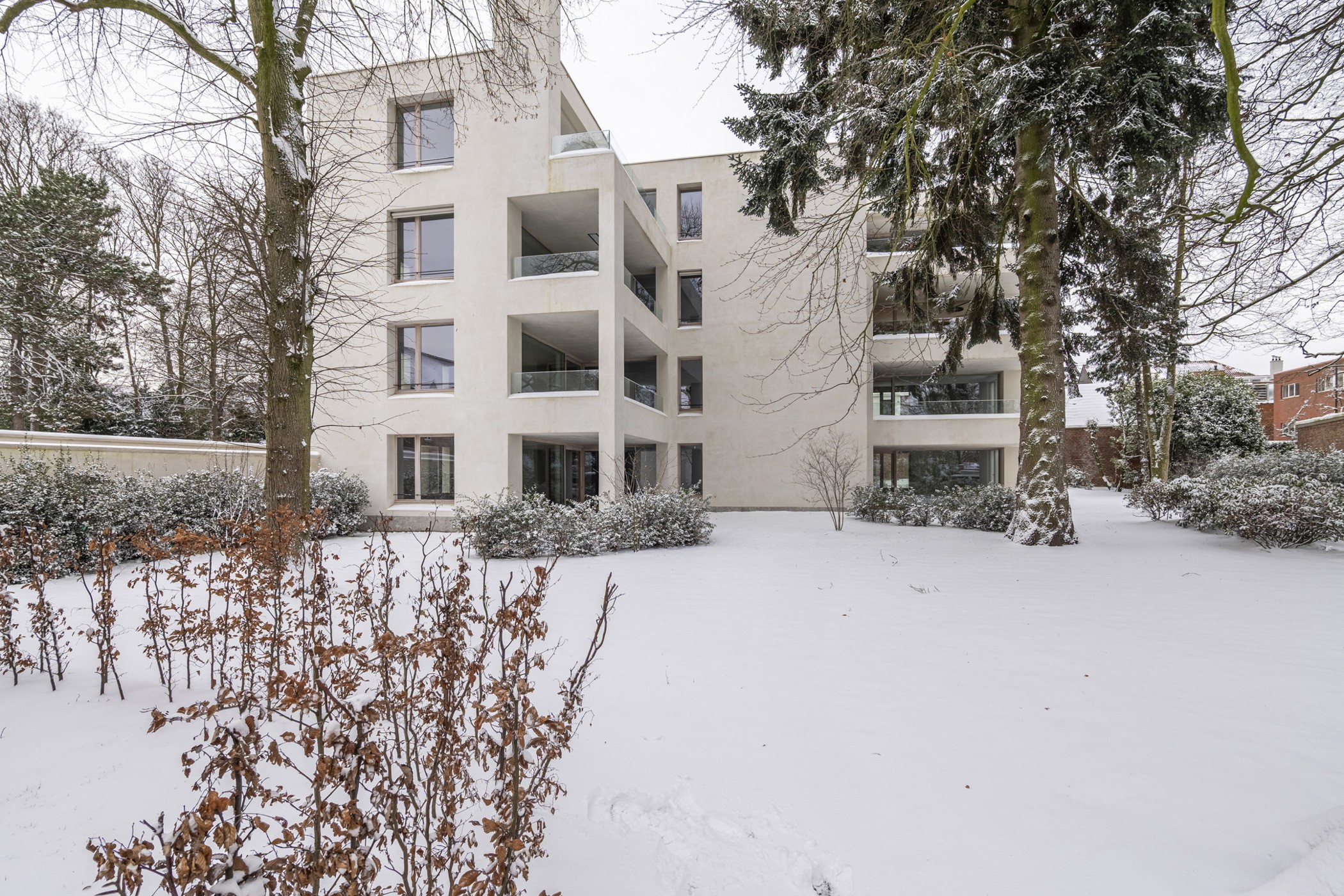 Laat u verwonderen over het project "Driezenhof"