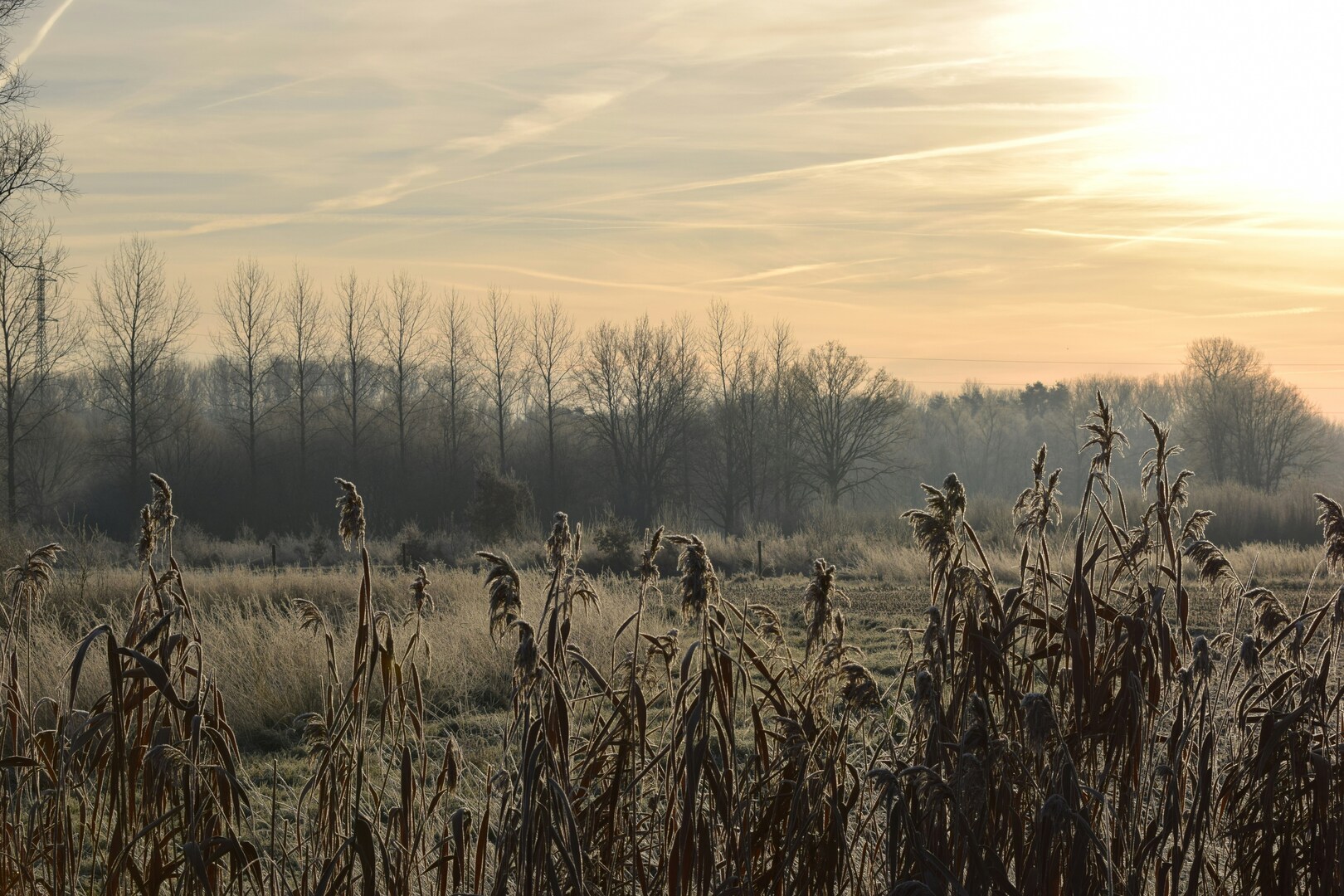 Aarschot uitzicht over veld en bos