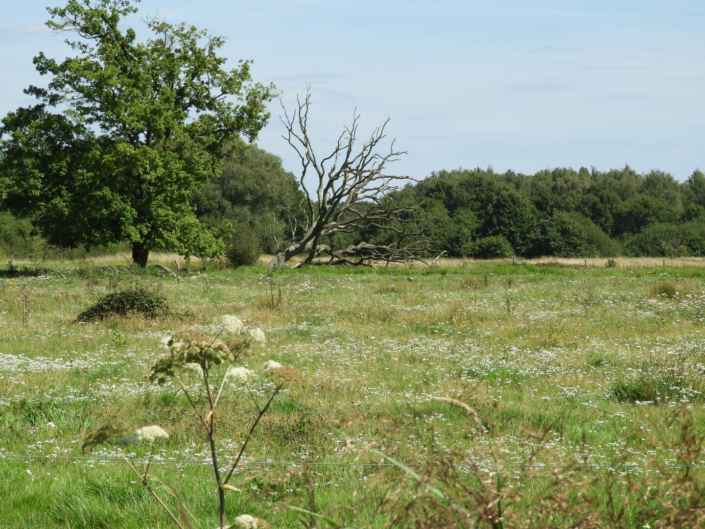 Bonheiden Dijlevallei