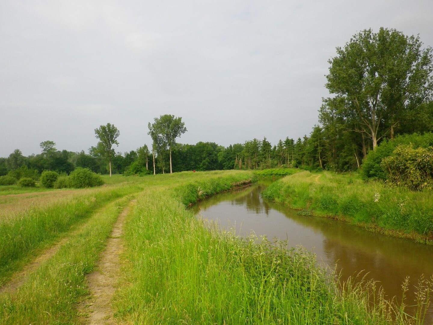 Hulshout Westerlo Netedijk