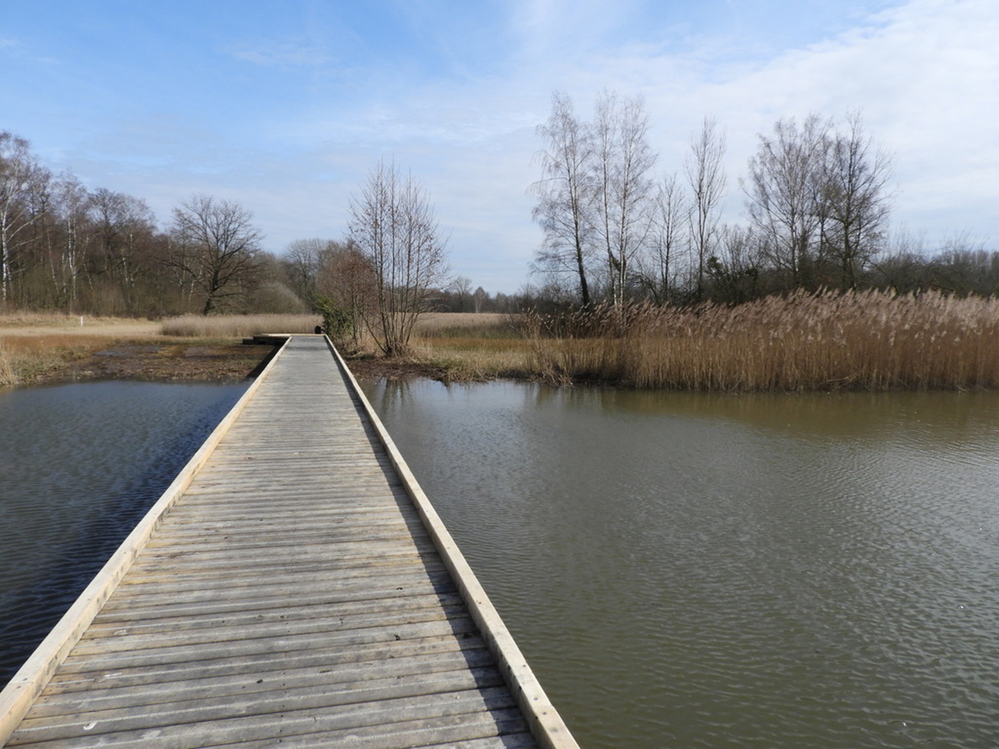 Kampenhout Torfbroek