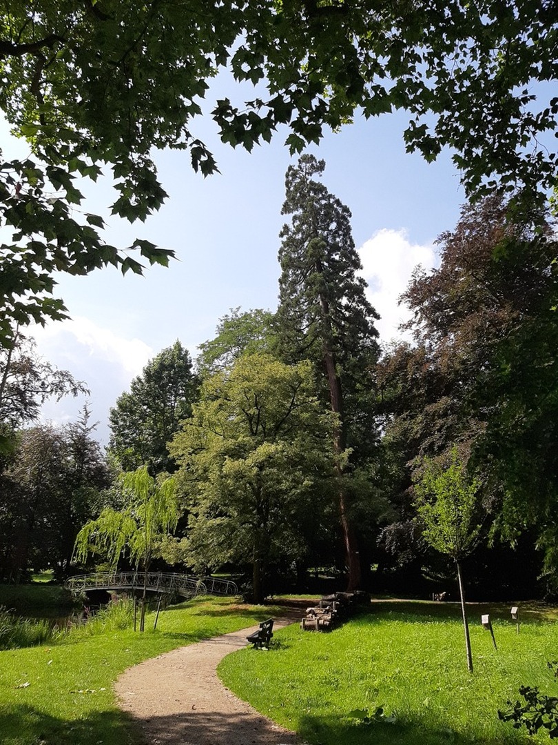 Lint park met bankje