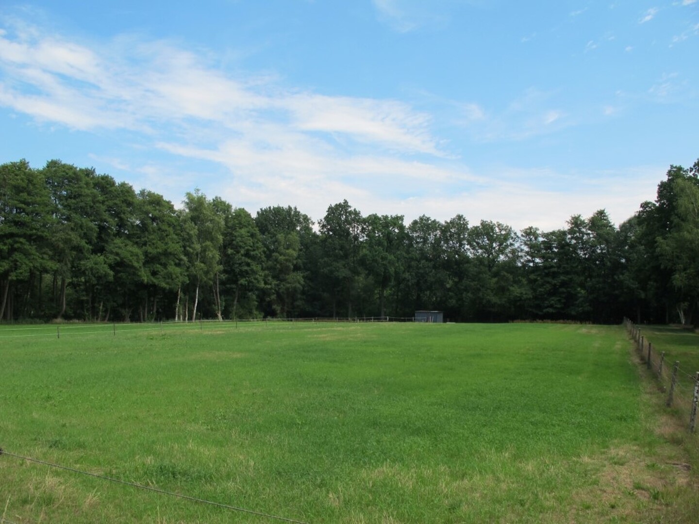 Niel Schans van Niel